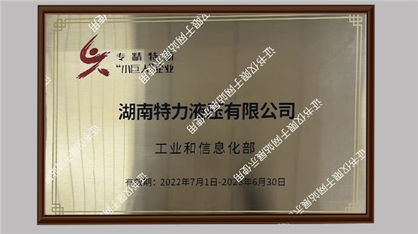專精特新“小巨人”企業(yè)